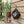 Don Bravo Signature Bluetooth Speaker