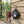 Don Bravo Mini Bluetooth Speaker – Leopard Edition (IPX6 Waterproof)