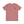 Don Bravo Brands Official Tee