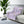 Don Bravo Sherpa Fleece Blanket 'Lavender Bloom' Edition